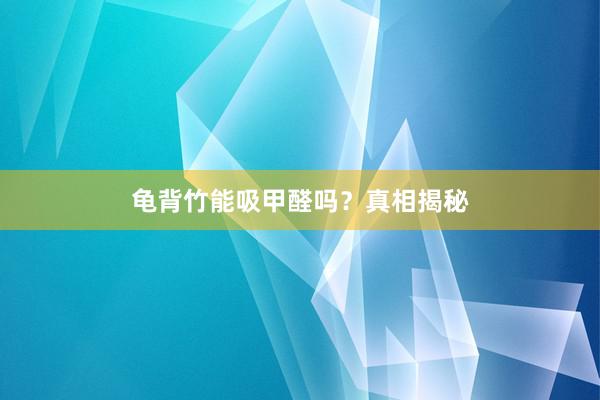 龟背竹能吸甲醛吗？真相揭秘